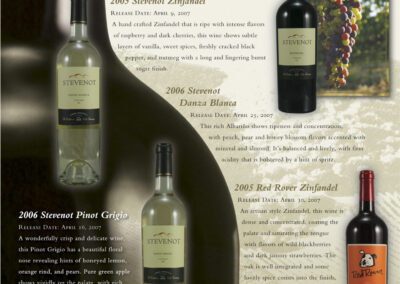 Stevenot web graphics